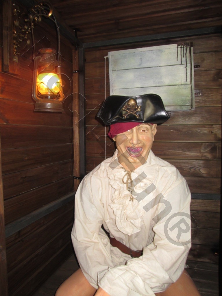Mech4Fun La Toilette de Pirate Antonio for sale