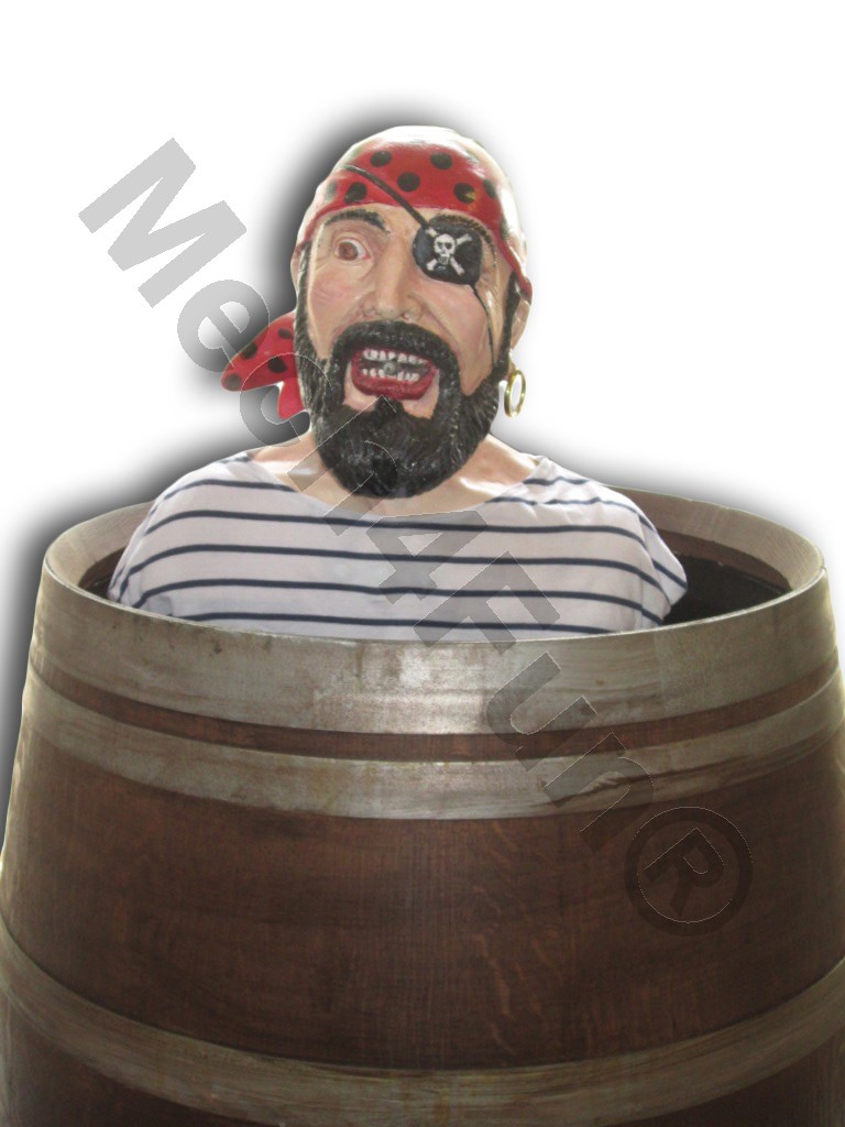 Mech4Fun Le Pirate Julian for sale