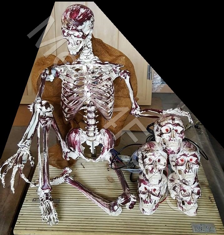 Mech4Fun Hamlet Skull for sale